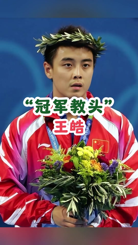 波兰乒乓球队血洗奥地利乒乓球队，王皓打破历史纪录的简单介绍