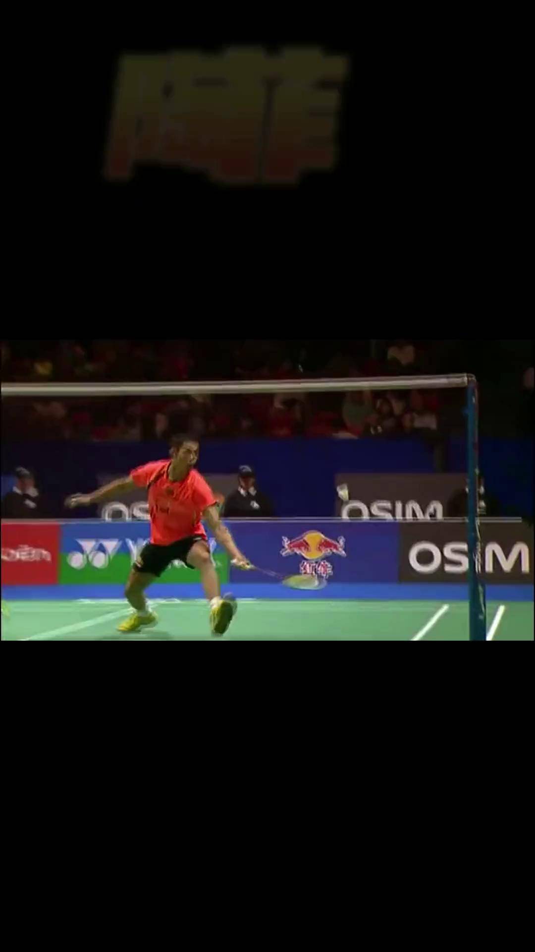 关于法国羽毛球队绝杀泰国羽毛球队，陶菲克送出助攻的信息