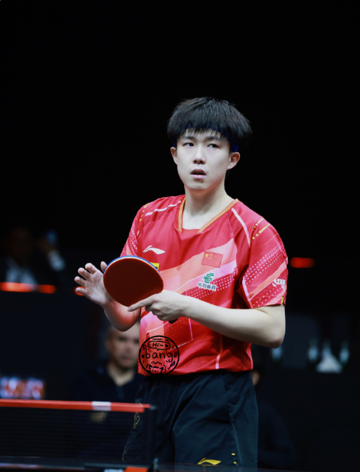关于比利时乒乓球队翻盘中国乒乓球队，王皓惊艳世界的信息
