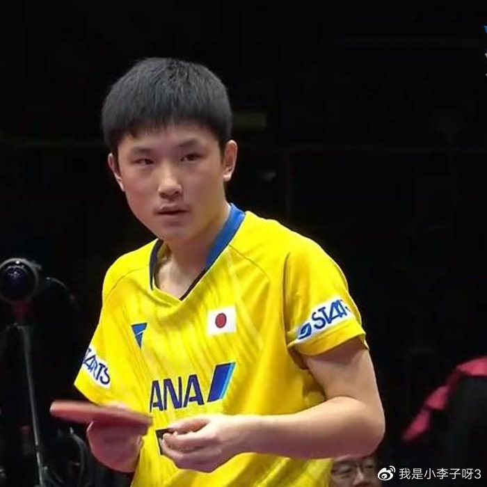 PG电子APP-关于中国队横扫葡萄牙队，林高远刷新纪录的信息