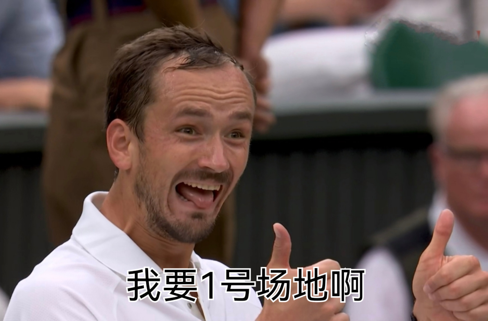 温网完胜年终总决赛，梅德韦杰夫高光表现的简单介绍