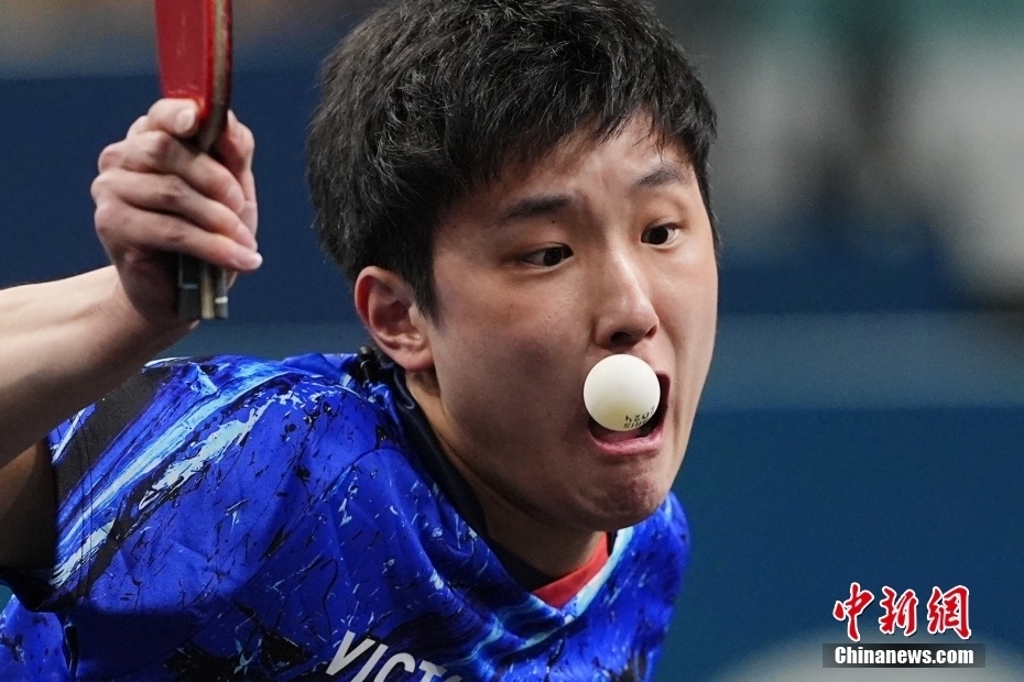 PG电子娱乐在线-关于韩国乒乓球队险胜比利时乒乓球队，张本智和高光表现的信息