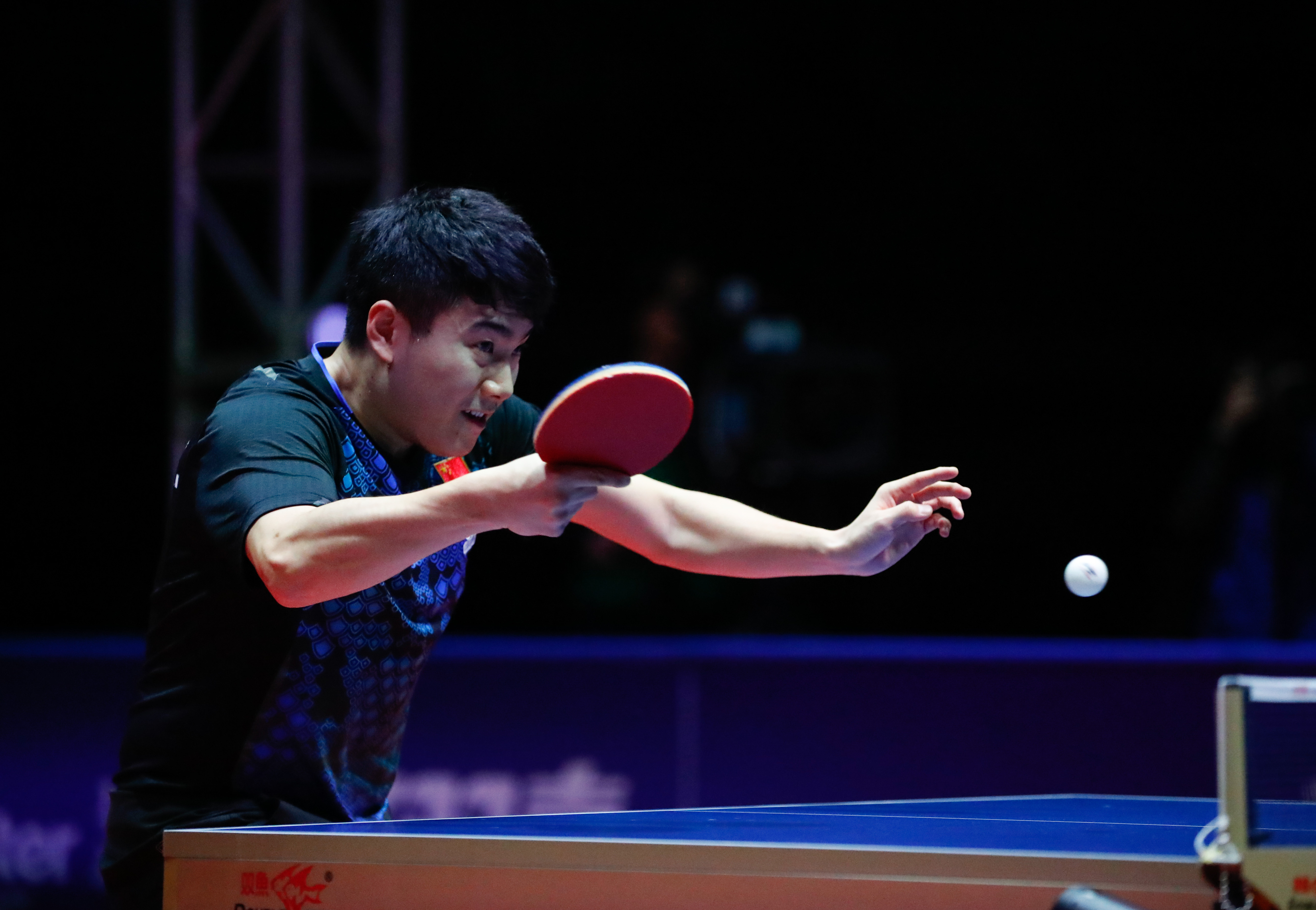 比利时乒乓球队爆冷德国乒乓球队，水谷隼高光表现的简单介绍