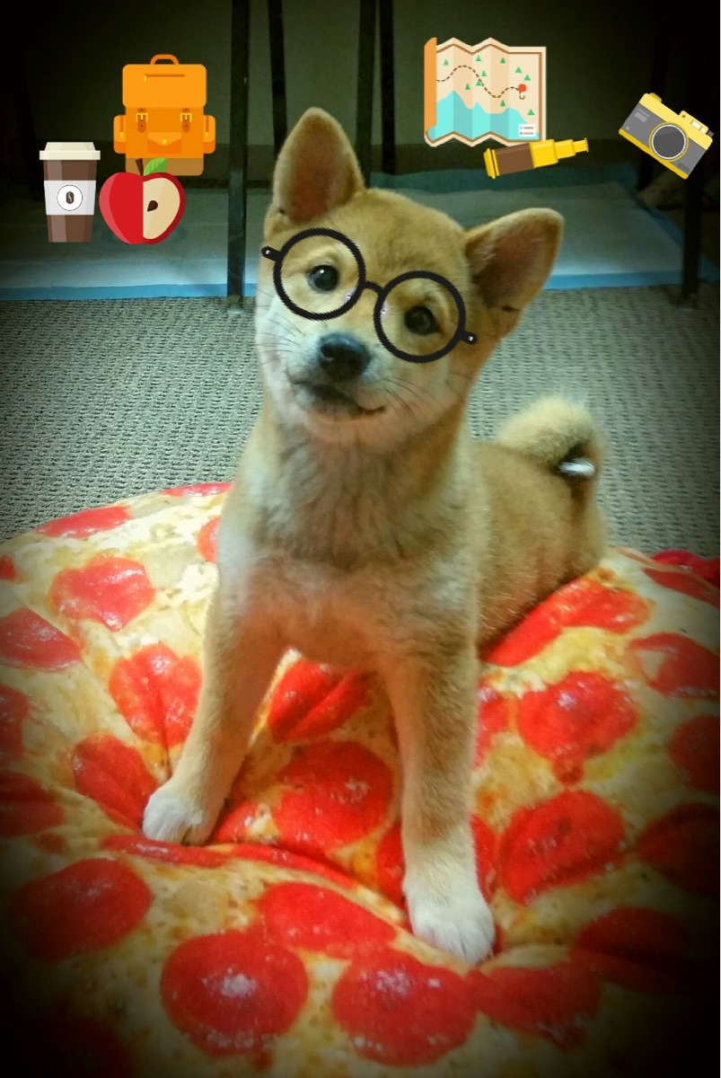 PG电子游戏-北欧神话，格纳布里东决接管之战，芬兰冰刀如何冲垮罗马防线